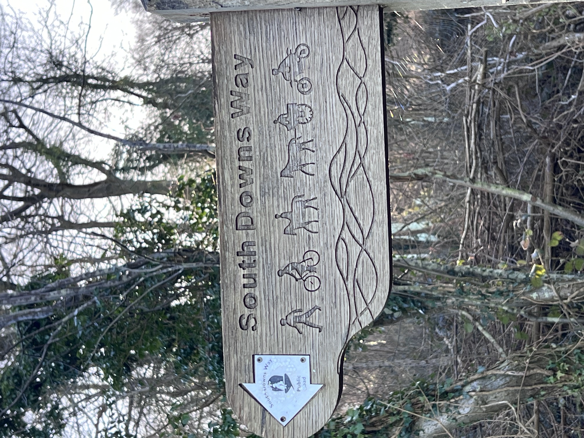 The South Downs Way