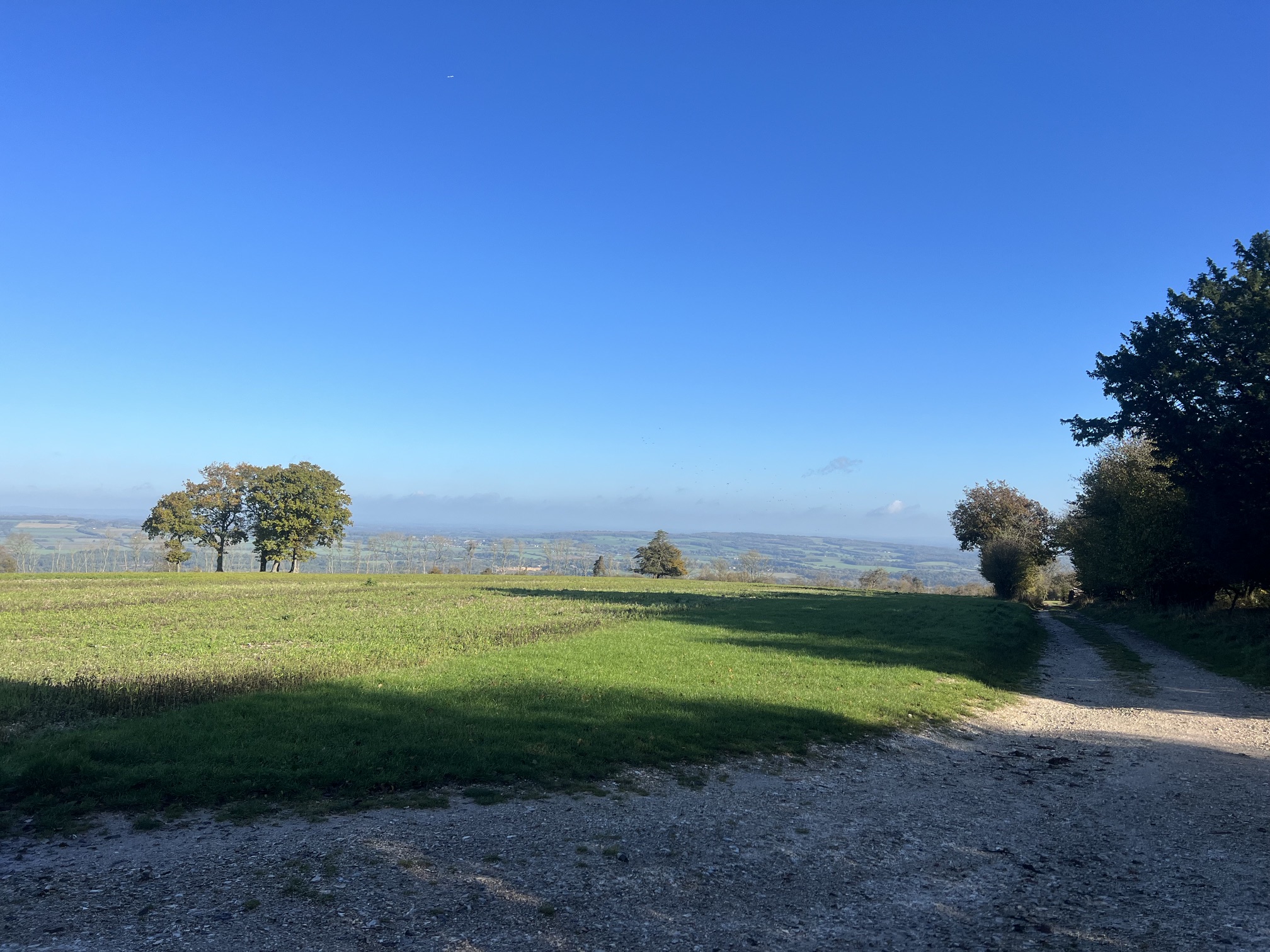 Epic views of the South Downs