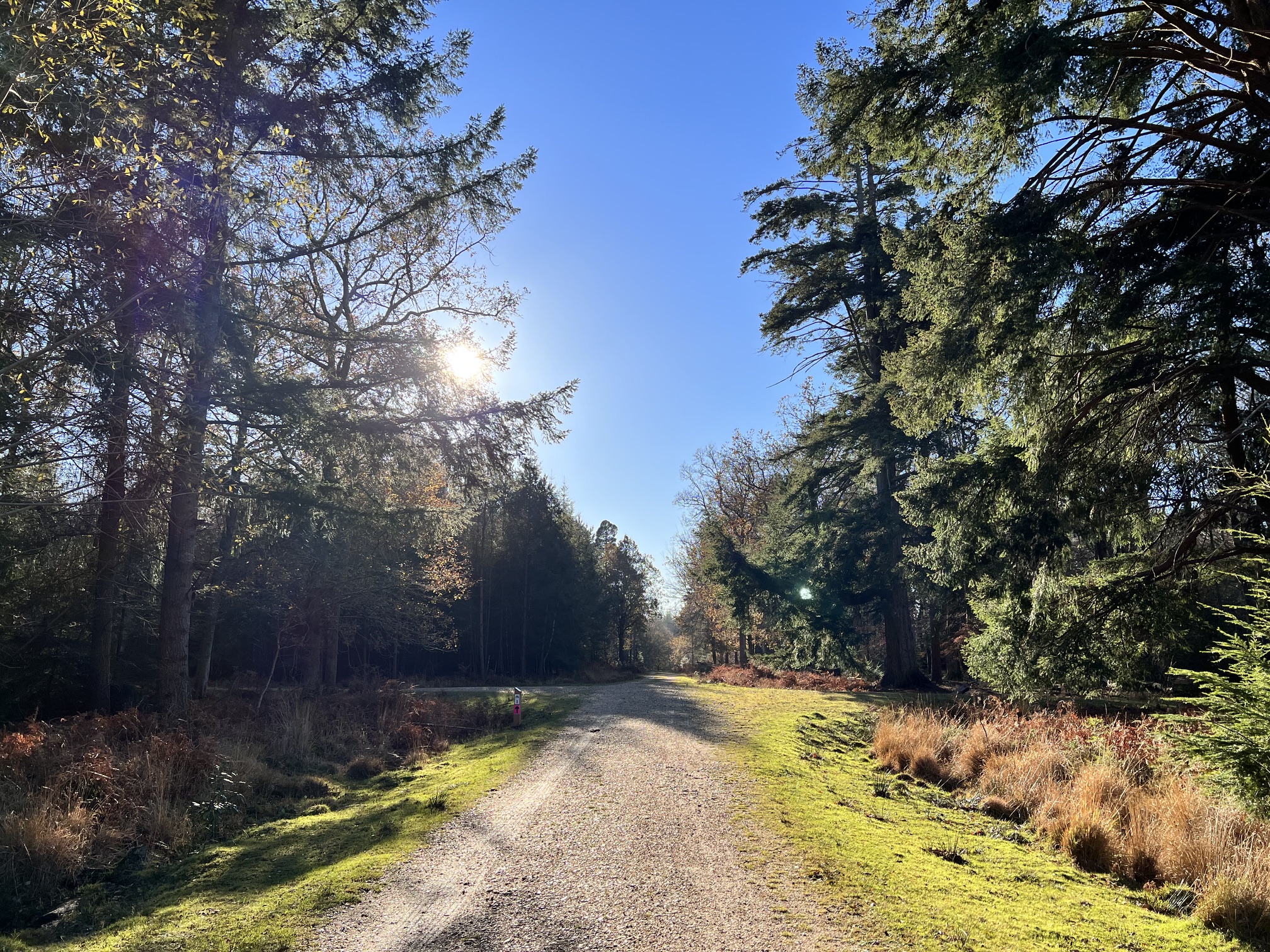 Wide Gravel Paths 