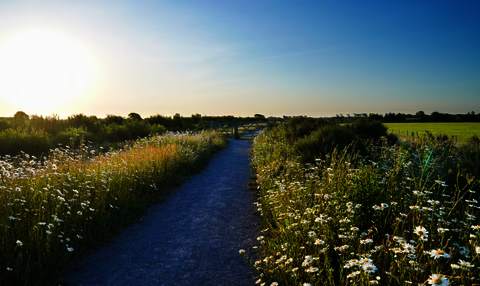 Medmerry Nature Reserve 