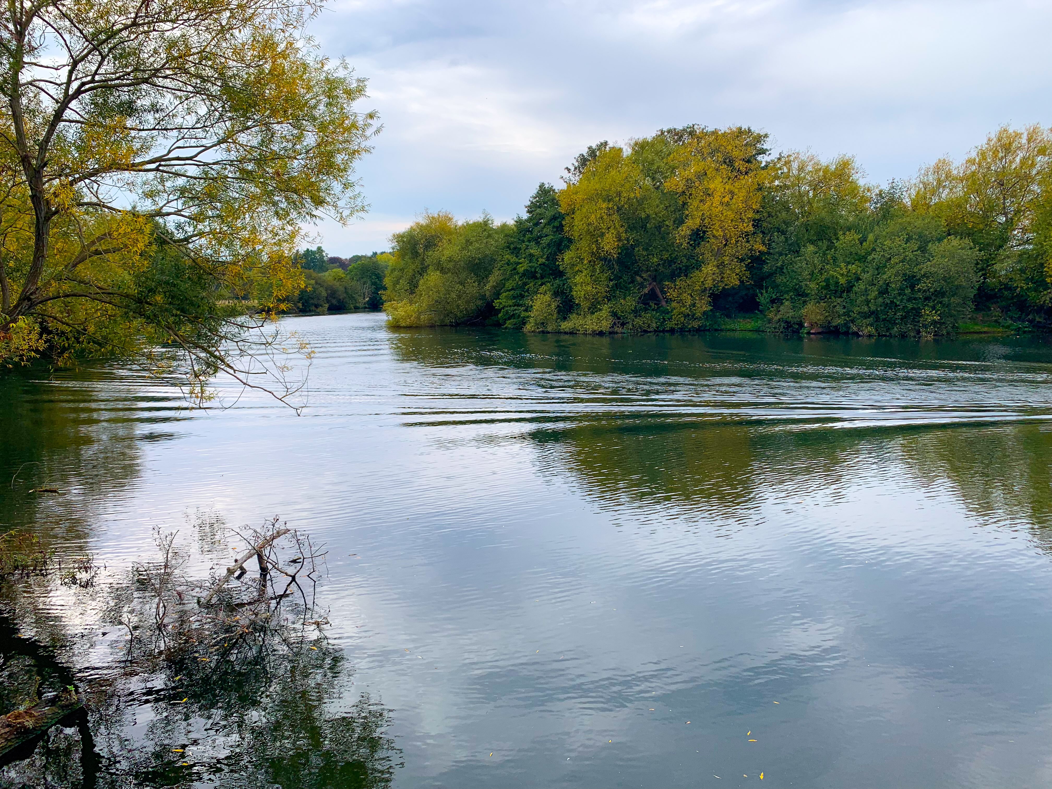 River Thames Views