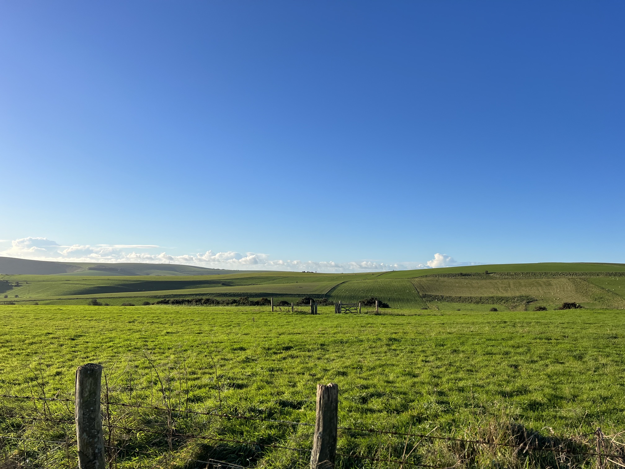 Far reaching views 