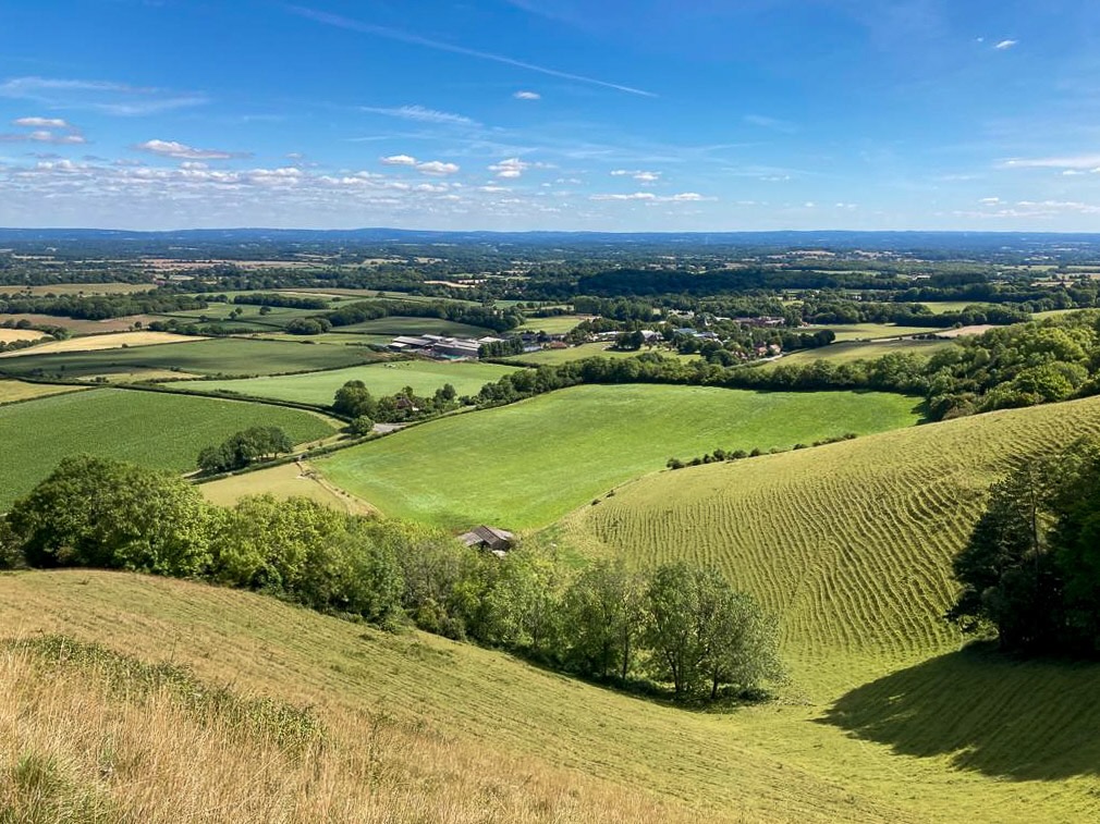 Black Cap and South Downs Way